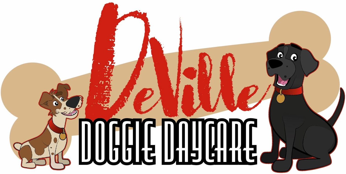 Deville Doggie Day Care & Boarding Donegal